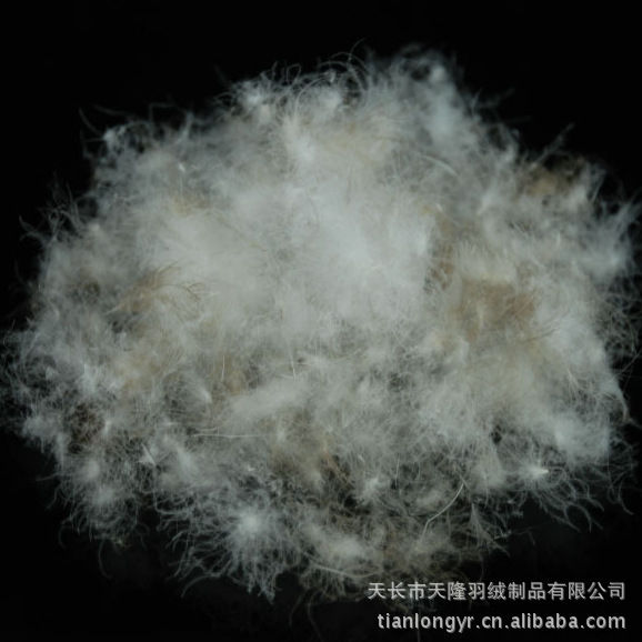 【熱銷】供應(yīng)推薦廠家大量銷售羽絨 水洗鵝毛羽絨 水洗羽絨圖片,【熱銷】供應(yīng)推薦廠家大量銷售羽絨 水洗鵝毛羽絨 水洗羽絨圖片大全,天長(zhǎng)市天隆羽絨制品-8-